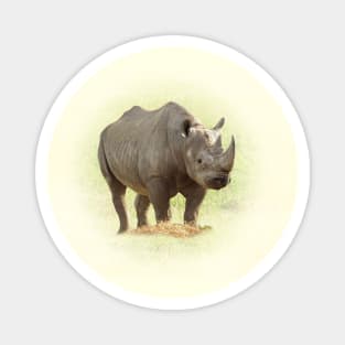 Rhinoceros Magnet